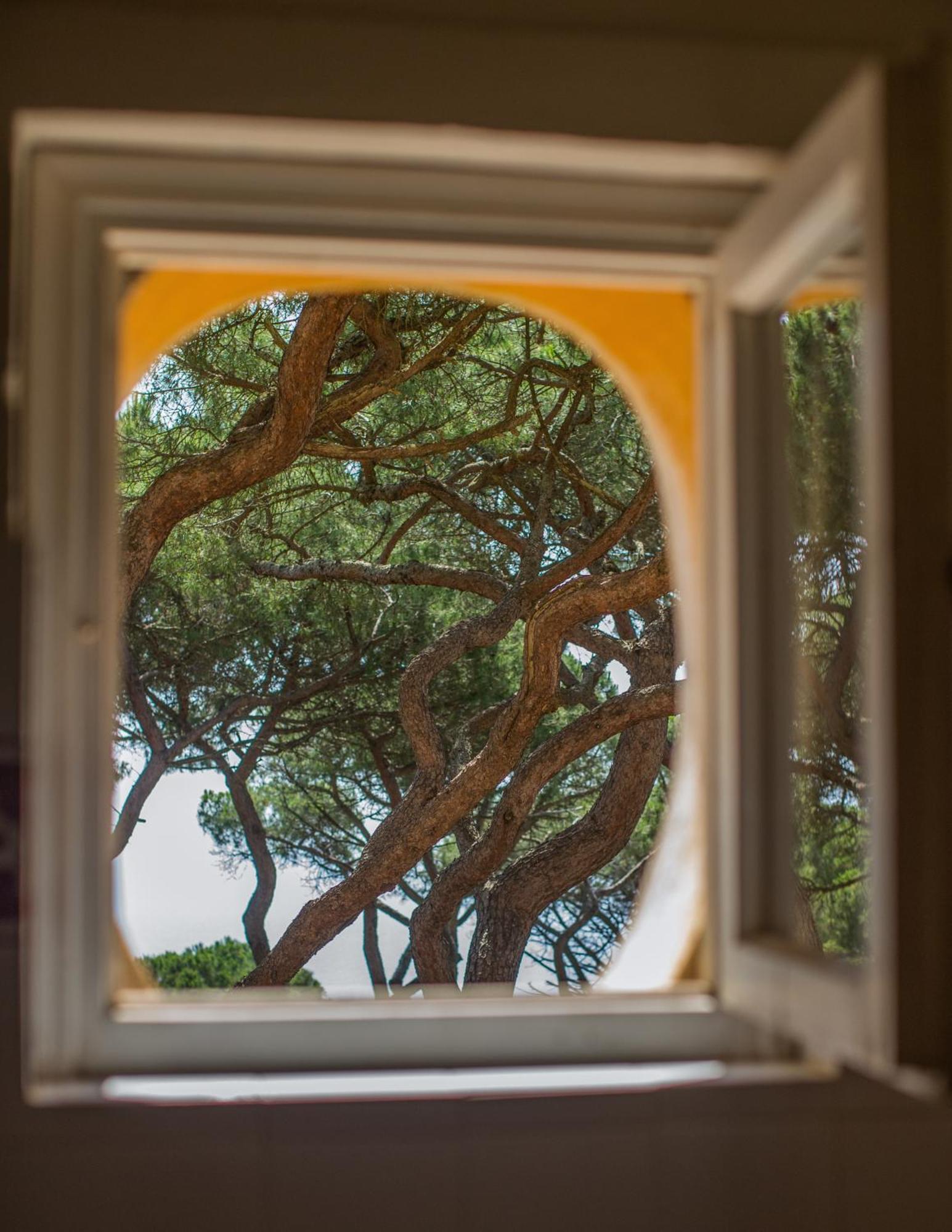 Tenuta Delle Ripalte Capoliveri  Exteriör bild